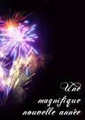 Nuit &eacute;toil&eacute;e avec feux d'artifice 2026
